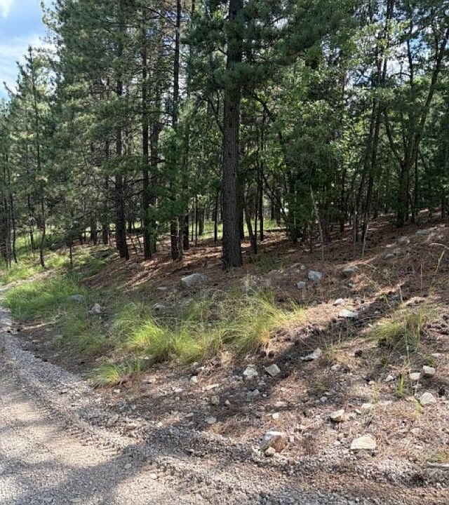 1st image of Lariat Rd
