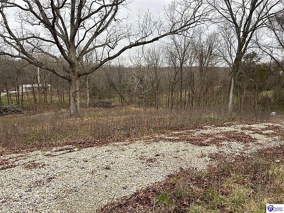 3rd image of 185 Rhodelia Rd