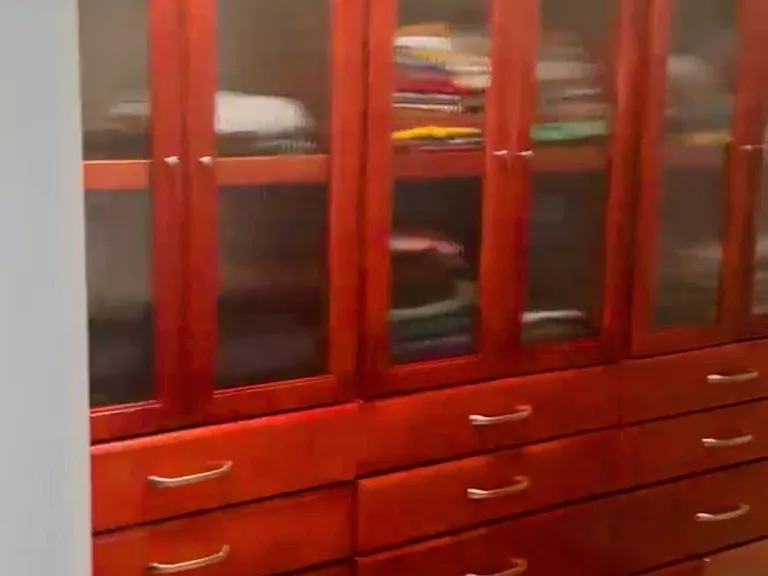 Master walk-in closet