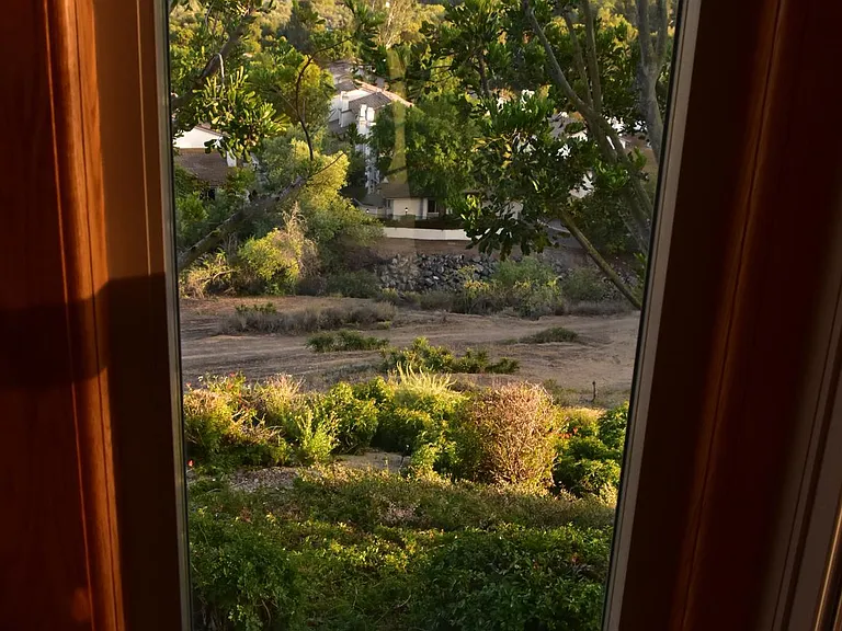31 Morning Glory — Photo 43