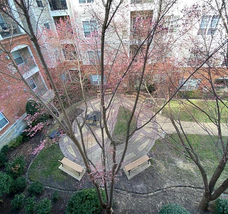 1st image of 4854 Eisenhower Ave Unit 347