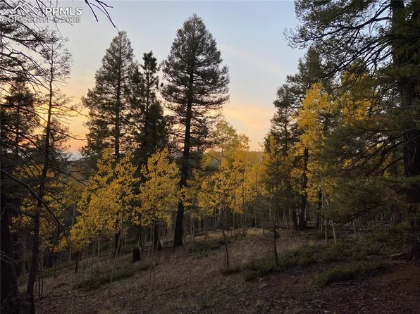 835 Bennett Dr, Cripple Creek, CO 80813