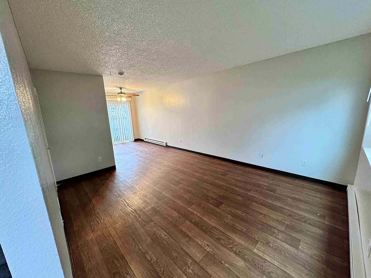 Large living room area and spacious under stairs storage closet. Lots of natural light. - 1201 Leonard St #10