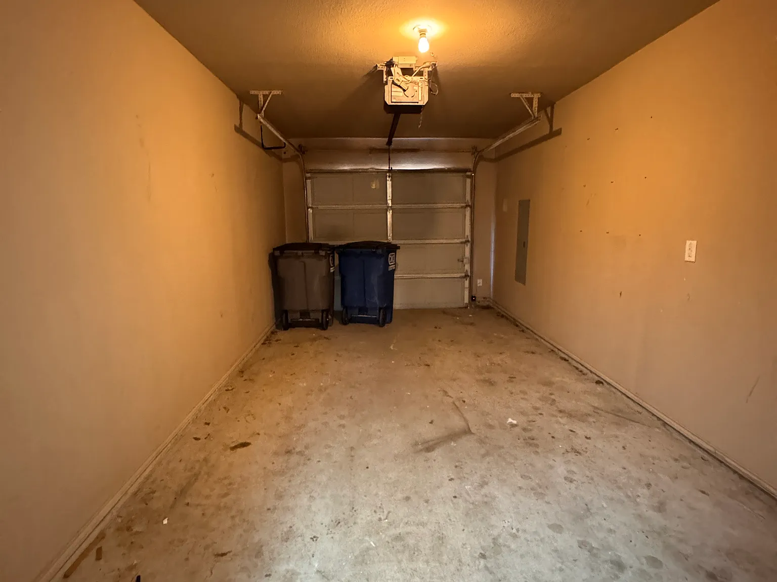 3 bed, 1315 sqft, $1,795 — Photo 3