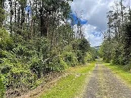 Pikake Road — Photo 3