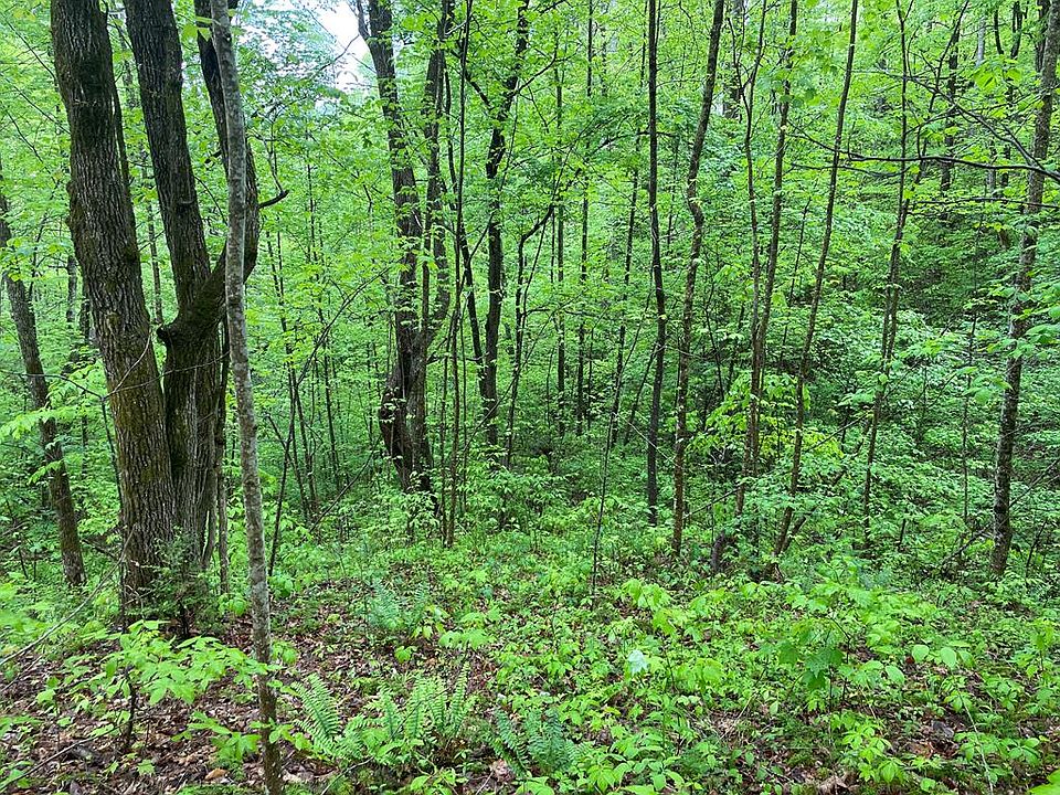 1st image of 0 Pigeon Creek Rd Lot 5