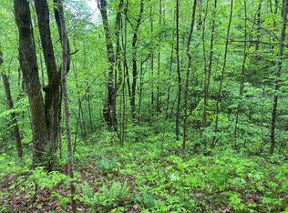 0 Pigeon Creek Rd LOT 5, Bryson City, NC 28713