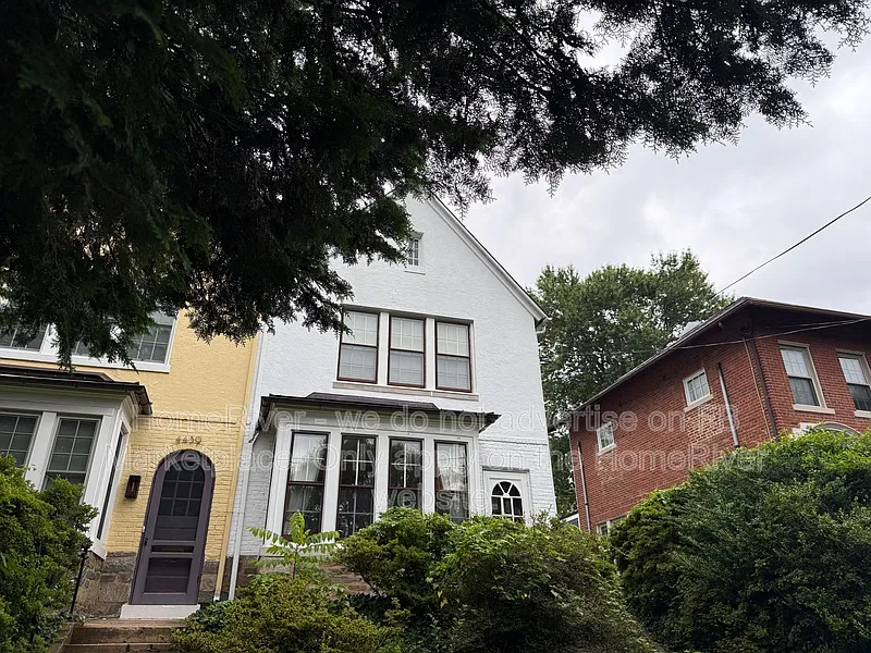 3 bed, 2.0 bath, 1803 sqft, $4,425 — Photo 3