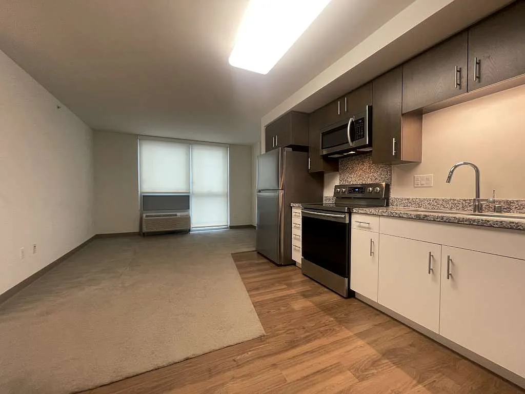 1 bed, 482 sqft, $2,500 — Photo 3