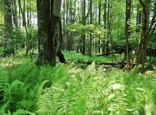 174 Laurel Cir, Terra Alta, WV 26764