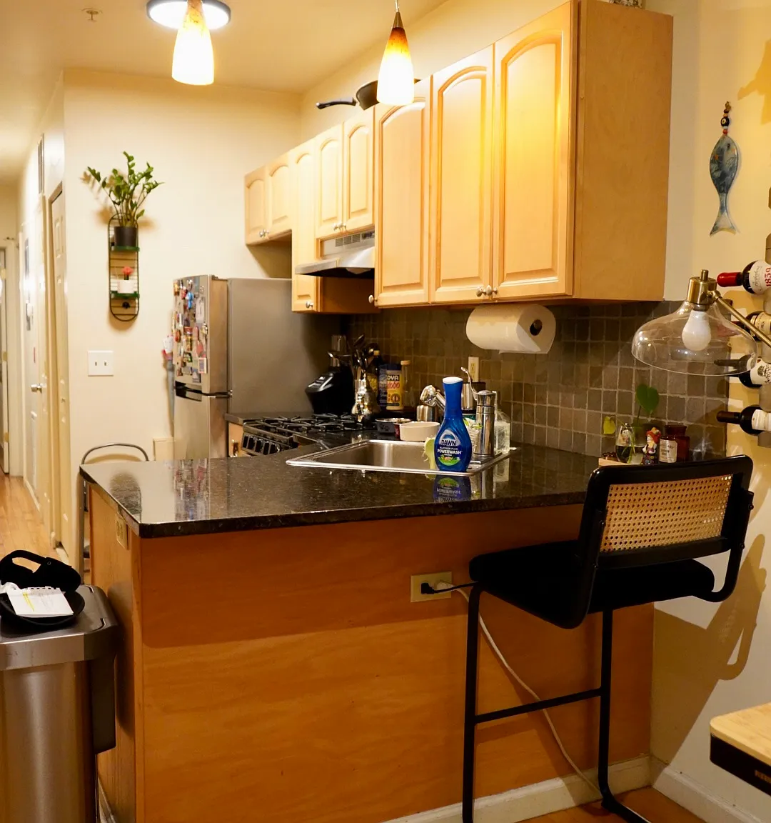 1 bed, 573 sqft, $3,100 — Photo 4