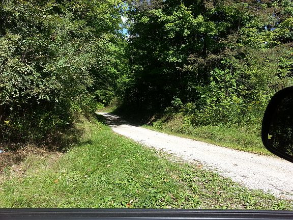 Ashmore Road from the driveway