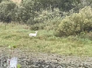 Xx Perch, Spooner, WI 54801