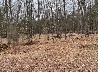 N Forest Lake Rd LOT 1, Land O Lakes, WI 54540