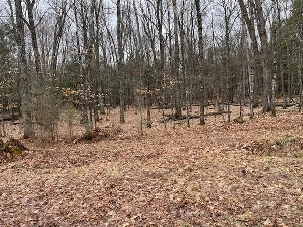 N Forest Lake Rd Lot 1, Land O Lakes, WI 54540