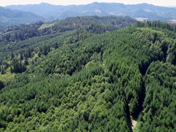 Lee Valley Rd, Myrtle Pt, OR 97458