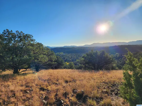 Xx Crown T Ranch Rd, Silver City, NM 88061