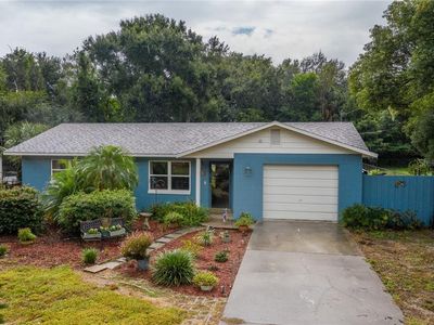 3758 Cactus Ln, Mount Dora, FL, 32757