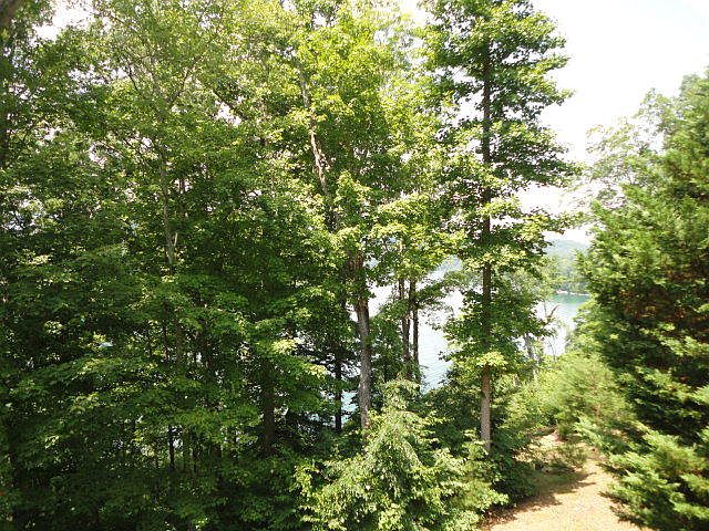 2nd image of Hiwassee Dr