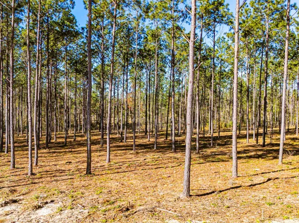 13 Big Buck Dr, Moscow, TX 75960