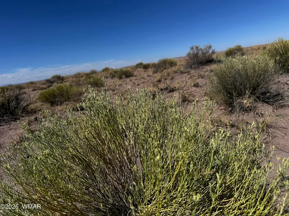 6 Porter Ave, Joseph City, AZ 86032