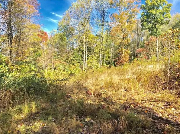 White Rd, Normalville, PA 15469