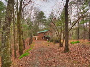 140 Cow Ln #1, Ellijay, GA 30540