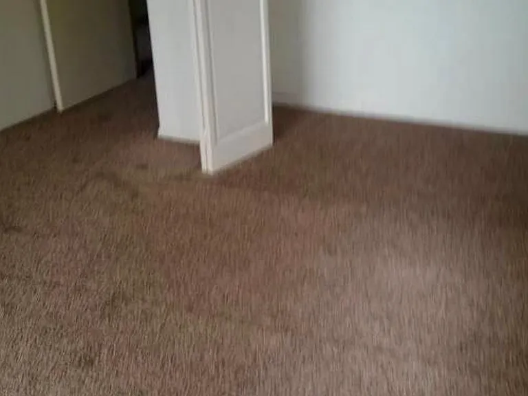 31415 Club Vista Dr — Photo 5
