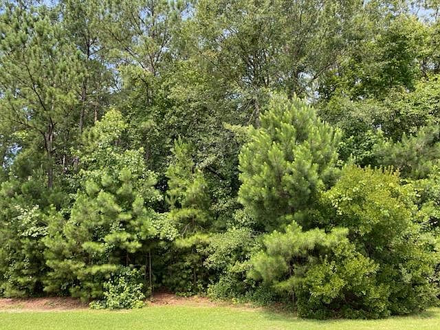2nd image of 8874 Tolbert Way