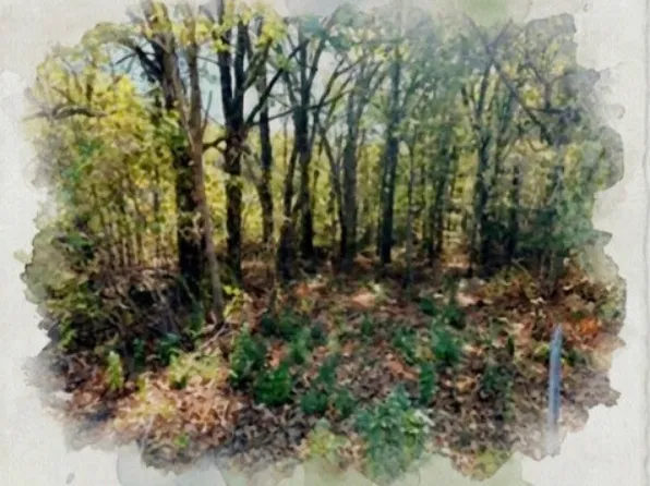 N/a Acres Loop, Mabank, TX 75156