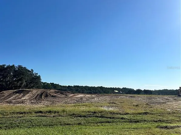 38404 Wooded Meadow Dr Lot 41, Umatilla, FL 32784