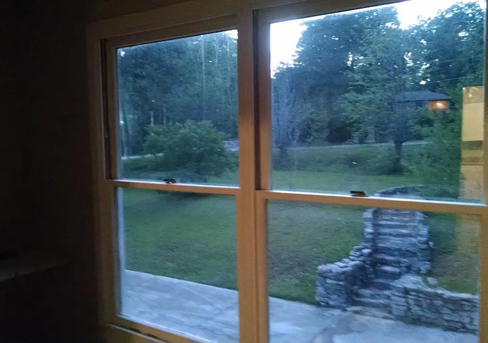Living room view