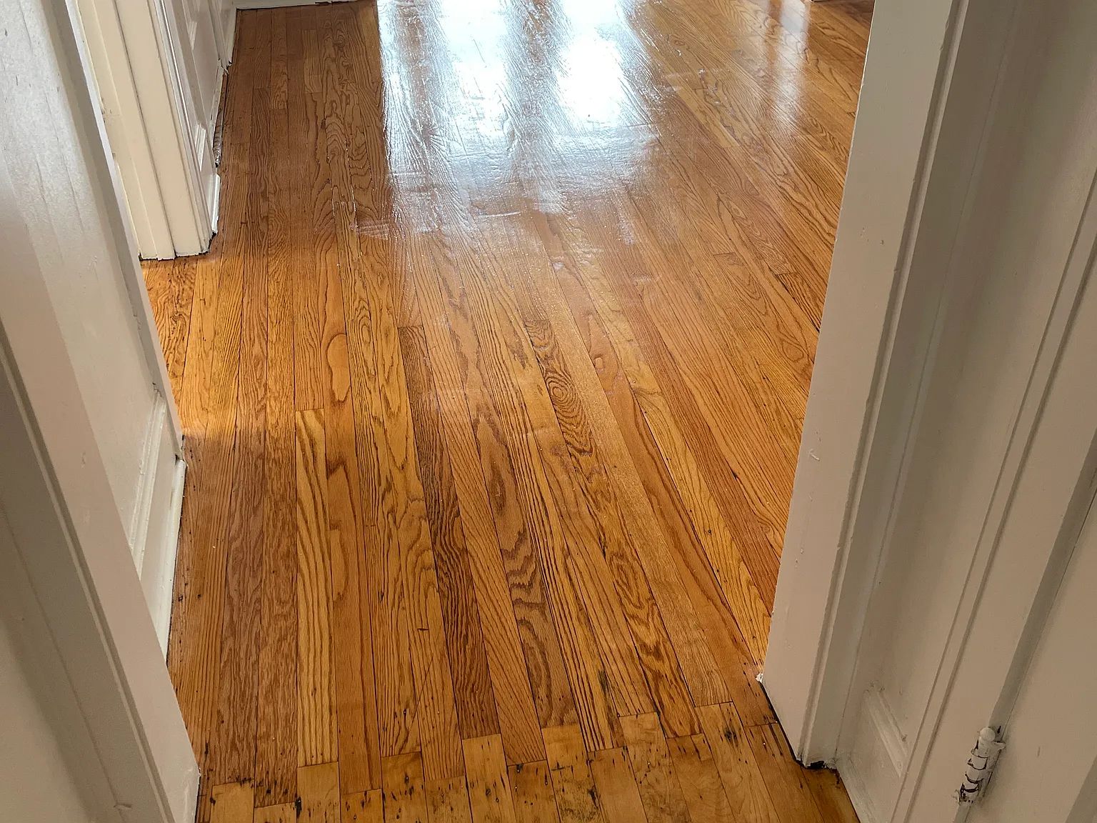 3 bed, 950 sqft, $2,450 — Photo 4