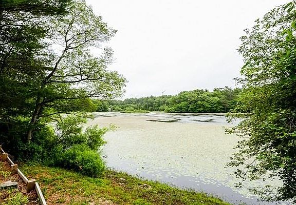 2nd image of 151 Lake Dr