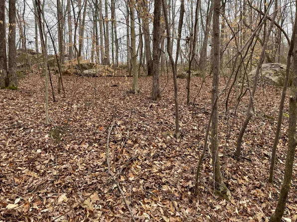 LOT 9 Buttonwood Ln Lot 9, Roxboro, NC 27574