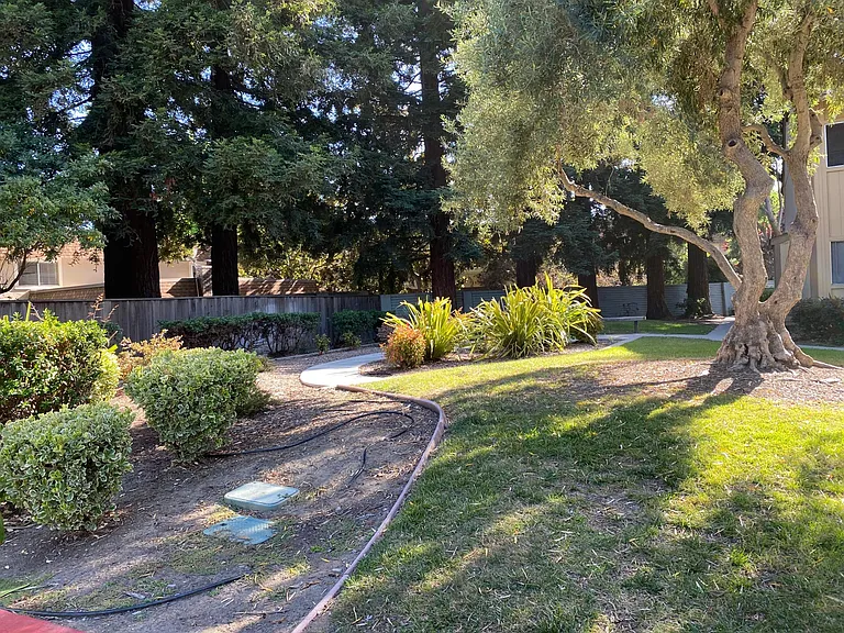 38536 Mary Ter — Photo 31