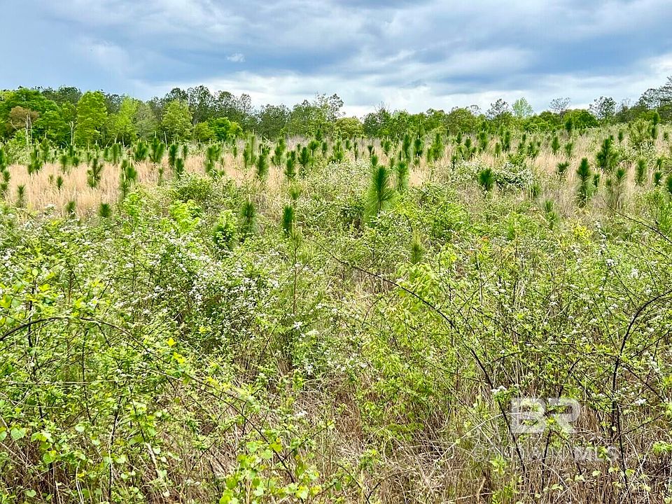 0 Pine Ave, Saint Stephens, AL 36569 Zillow