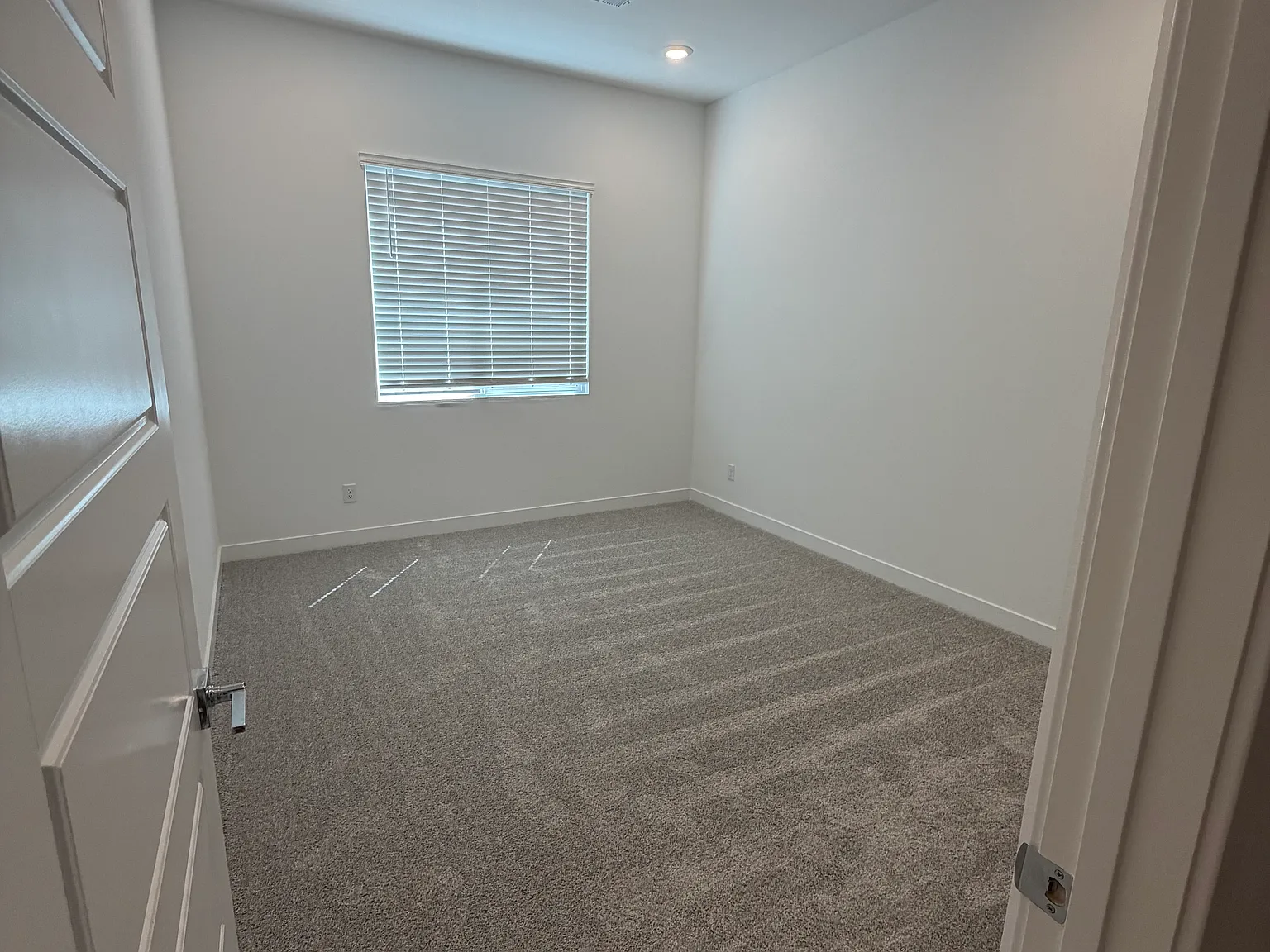 1 bed, $1,250 — Photo 4