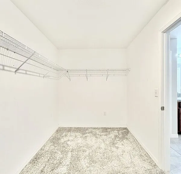 17134 White Mangrove Dr — Photo 52