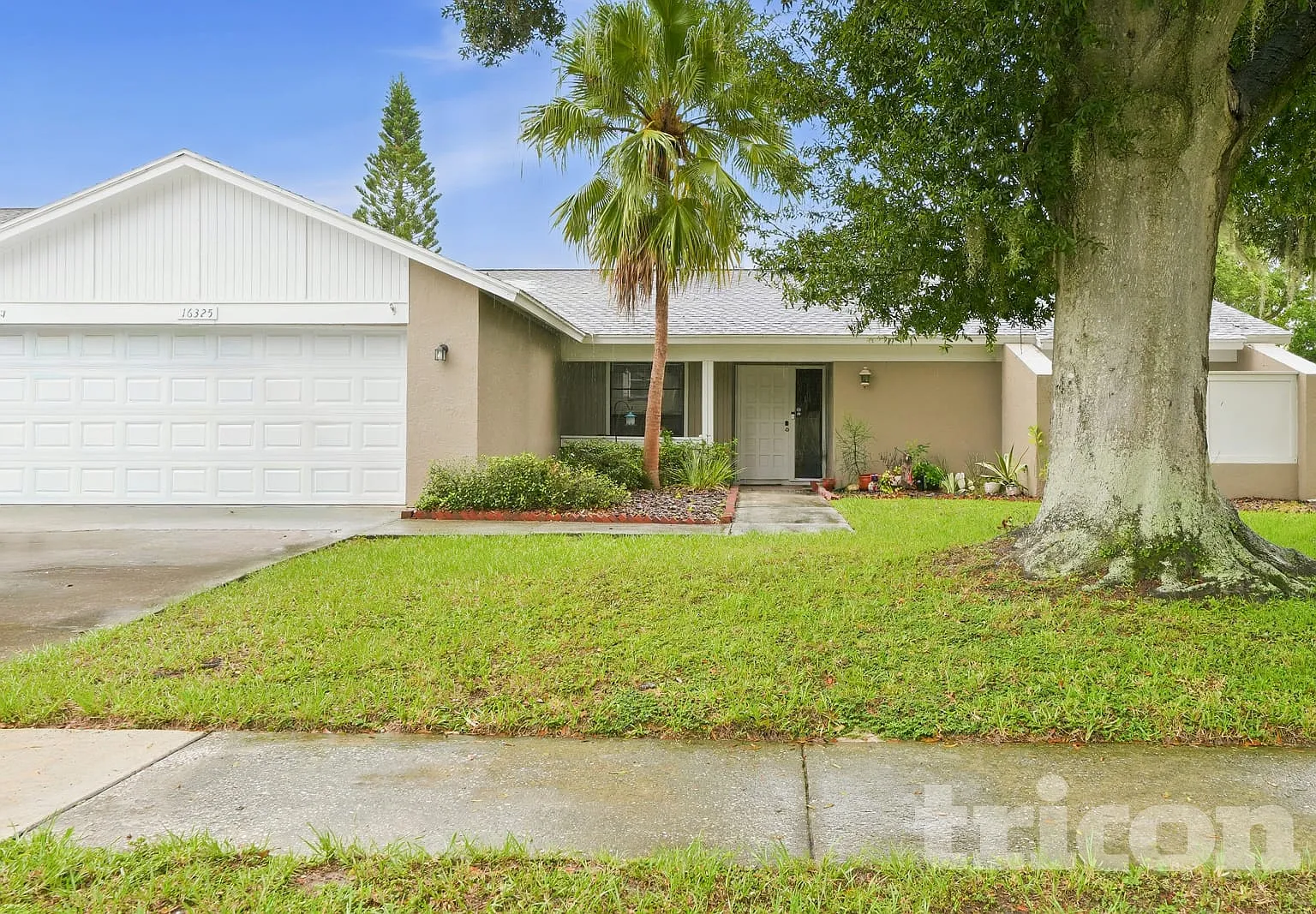 16325 Bonneville Drive Tampa FL — Photo 1