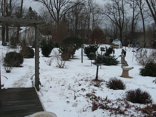 4th image of 3327 Deepwood Dr