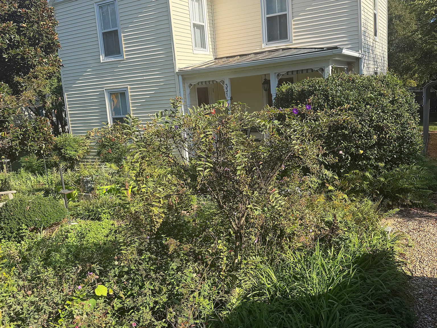 3 bed, 1390 sqft, $2,200 — Photo 2