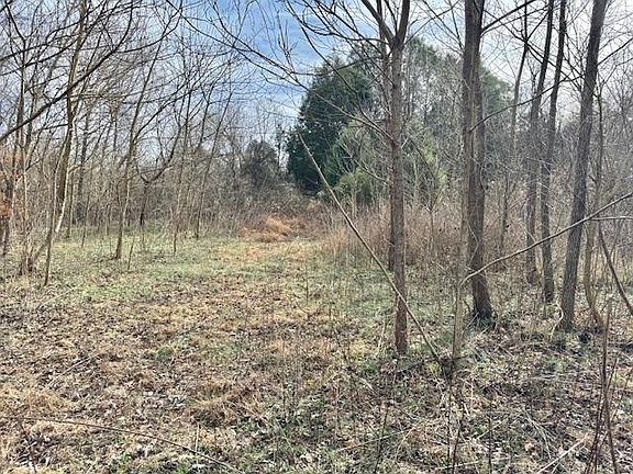 5th image of 1103 N Campbell Rd