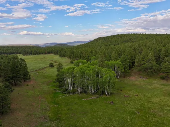 8041 Forest Park Rd #50, Grants, NM 87020
