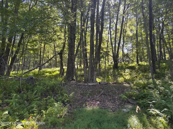 Ski Trl #32, Pocono Lake, PA 18347