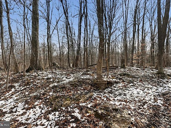 3rd image of Lots 123 & 124 Tulip Tree Way