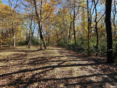 449 Pine Ln, Murphysboro, IL, 62966