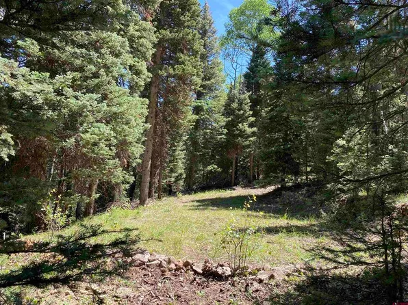 437 Juniper Drive, Cimarron, CO 81220