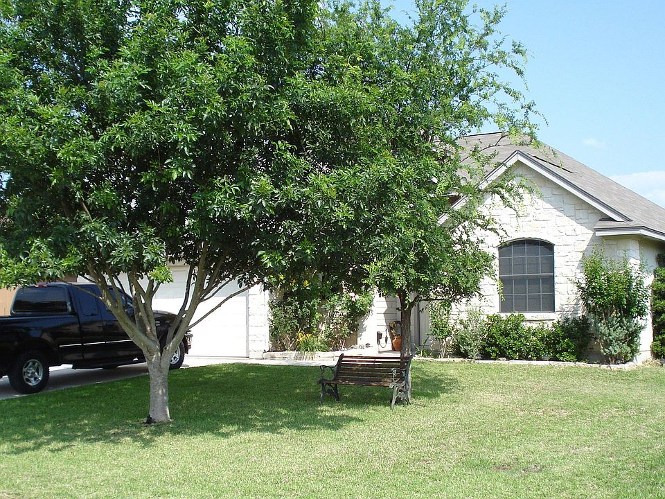Trees and Landscaping