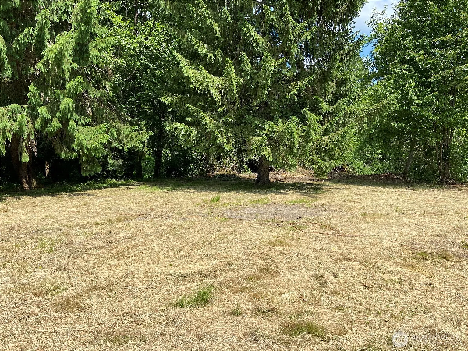 26220 Hoehn Road photo 1